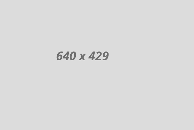activity03